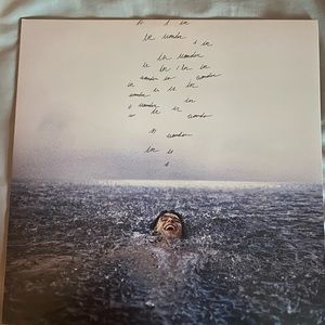shawn mendes wonder vinyl